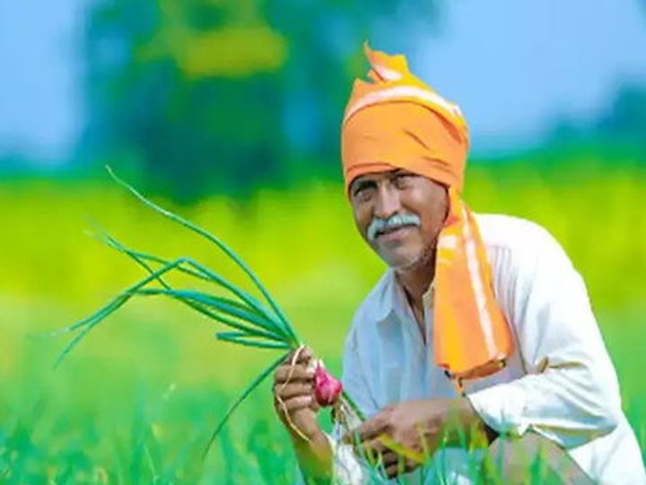 13370 किसान करेंगे सरकारी स्तर पर उन्नत किस्मों की खेती