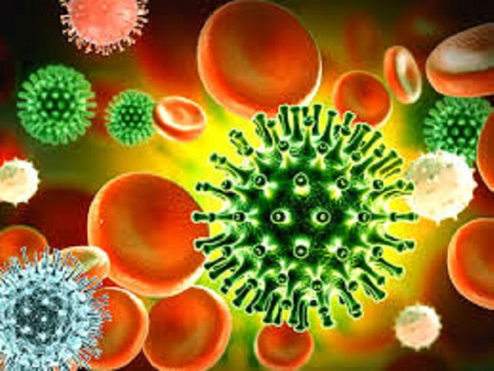 आंवला, गिलोय, हल्दी के दूध का सेवन कर इम्युनिटी पॉवर बढ़ाएं