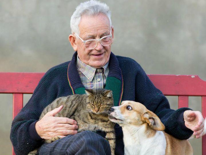 कोरोना का नया खतरा: जानवरों को कोरोना का सबसे ज्यादा खतरा इंसानों से