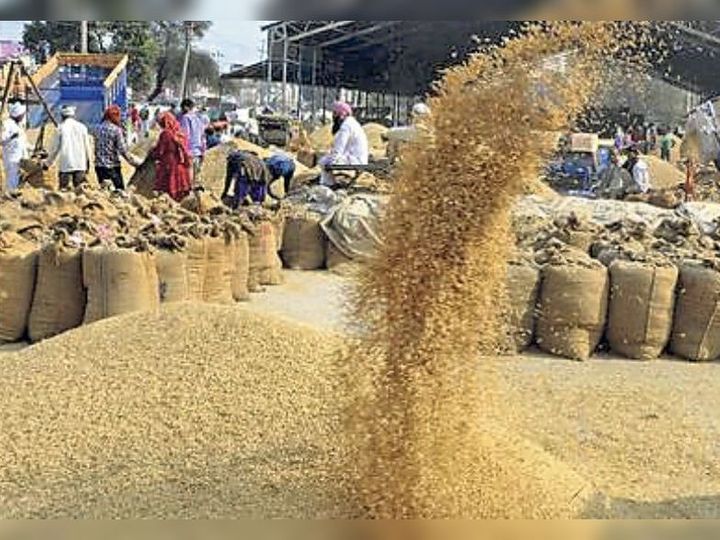 राजस्थान में नए कृषि बिल का प्रस्ताव तैयार, आज विधि विभाग को भेजा जाएगा