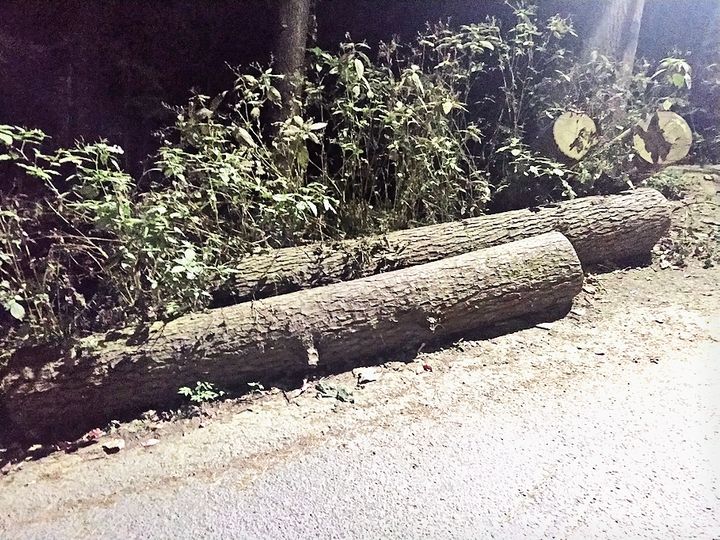 orig app160354542333img20201024183957 1603581160