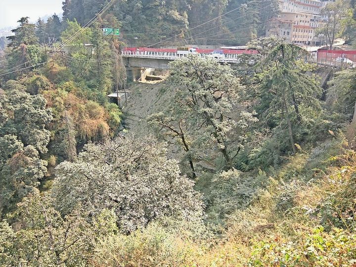 orig 3251020203 1603665813