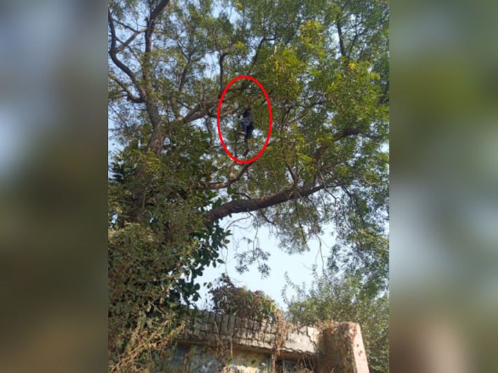 2020oct30mog01 1604064834