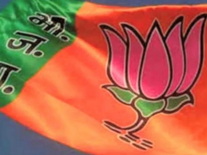 भीख मांगेंगे बीजेपी नेता: इंद्रा कॉलोनी में रोड बनवाने के लिये भीख मांगकर पैसा जुटाएंगे बीजेपी नेता