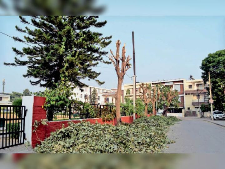 5kuchamandeedwanapullout pg1 0 1604600079