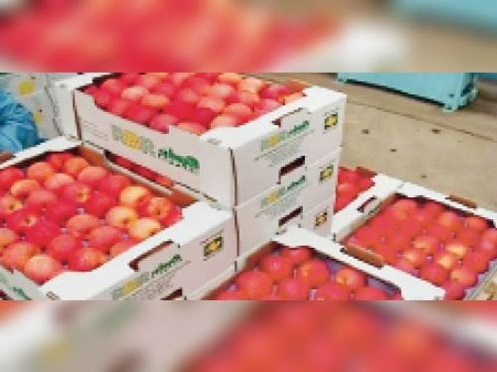 5kuchamandeedwanapullout pg1 0 1604602102