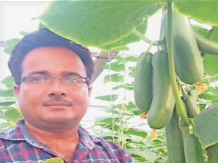 बैंक बीसीए का काम छोड़ हाईटेक खेती से कमाए 8.50 लाख रुपए