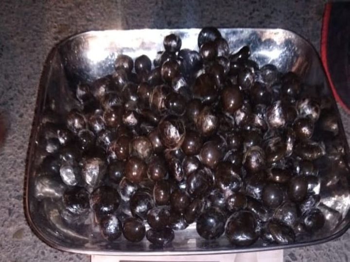 531ac0ec eb07 454e 9fef e3ccb56c81d0 1604814839