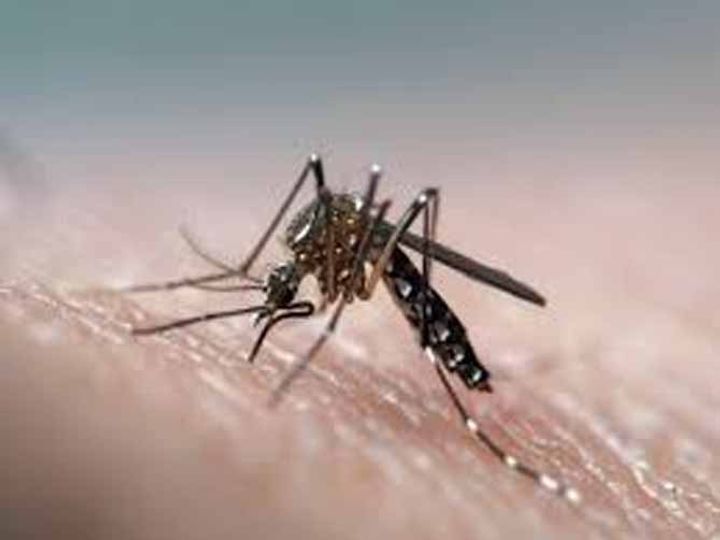 orig 0521dengue 11 1604869821