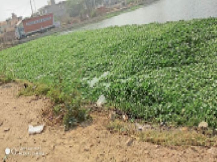 orig 20 8 1604870943