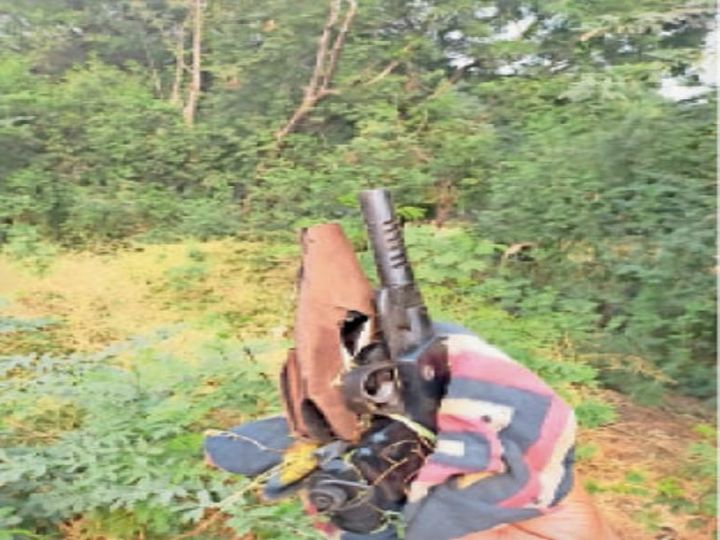 orig 55 2 1604874391