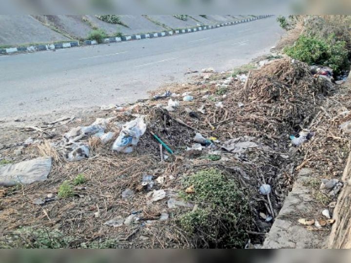 11panchkula pullout pg4 0 1605117939