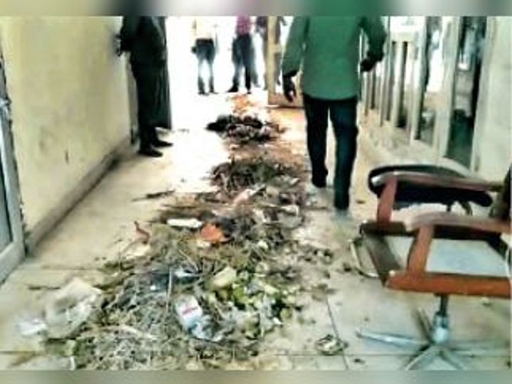 12mohali pullout pg2 0 1 1605206567