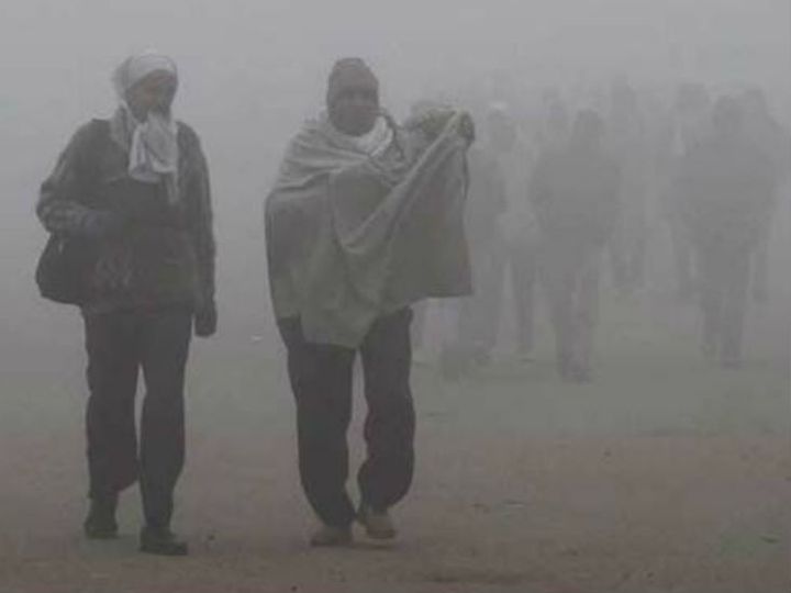 राजधानी लखनऊ में सोमवार तड़के हल्की बूंदाबांदी हुई और कोहरा गिरा। यहां सोमवार सुबह से घना कोहरा और धुंध भी छाई है। - Dainik Bhaskar