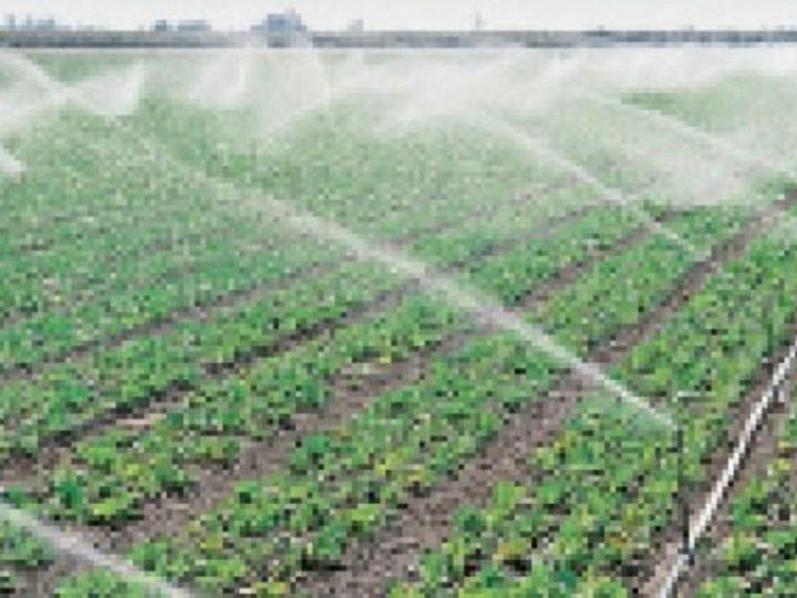 राजस्थान ऊर्जा विभाग ने जारी किया आदेश:अब ट्यूबवेल और कुओं पर बिजली कनेक्शन को एनओसी जरूरी नहीं