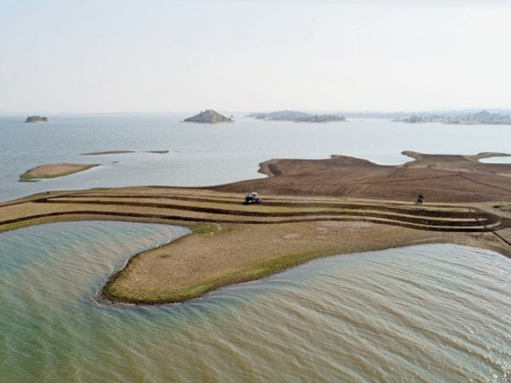 खेती के लिए टापू तक तैरकर पहुंचते हैं बैल, पानी में से ट्रैक्टर निकाल ले जाते हैं किसान