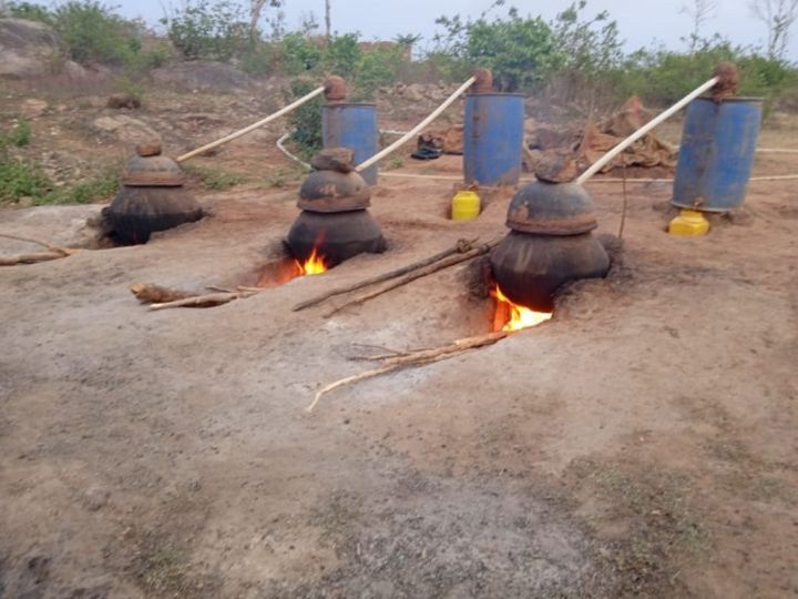 भरतपुर के 1700 परिवार करते हैं हथकढ़ शराब बनाने और बेचने का काम