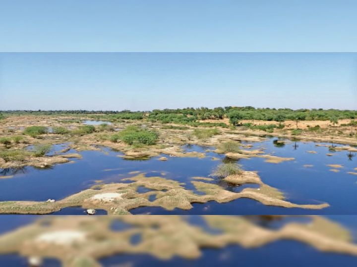 खूबसूरत तस्वीर का चिंताजनक सच, आरजिया के पास कोठारी नदी में भरा दूषित पानी