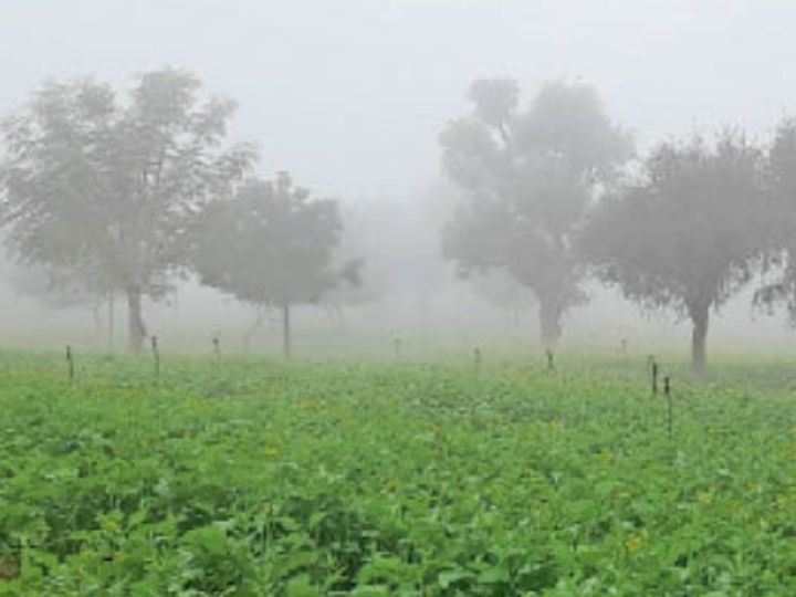 मौसम: दो दिन रहेगी शीतलहर, कोहरा भी बढ़ेगा