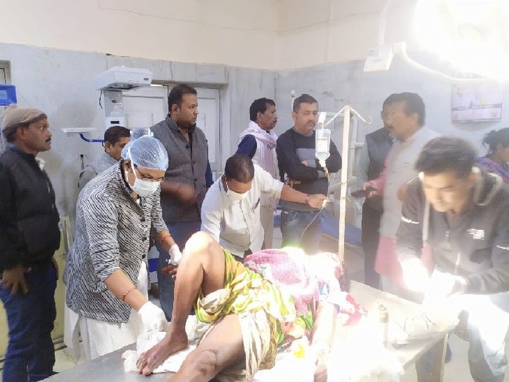 छत्तीसगढ़ के गौरेला-पेंड्रा-मरवाही जिले में भालू ने हमला कर दो महिलाओं को घायल कर दिया। - Dainik Bhaskar