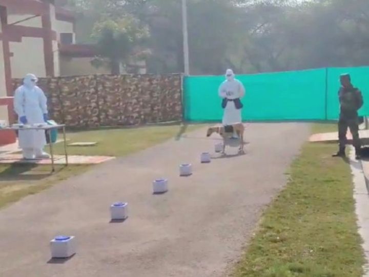 सेना की मेडिकल टीम ने कोरोना संक्रमण जांच की पूरी प्रक्रिया का डेमोंस्ट्रेशन किया। - Dainik Bhaskar