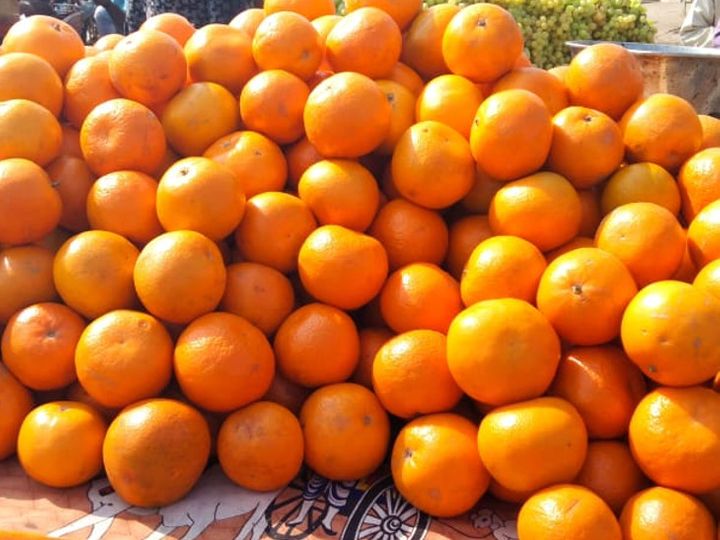 भरतपुर में किन्नू की बंपर आवक समय से पहले आई गर्मी और हवा से टूट रहा किन्नू, थोक में 8 से 16 रुपए किलो तक बिक रहा