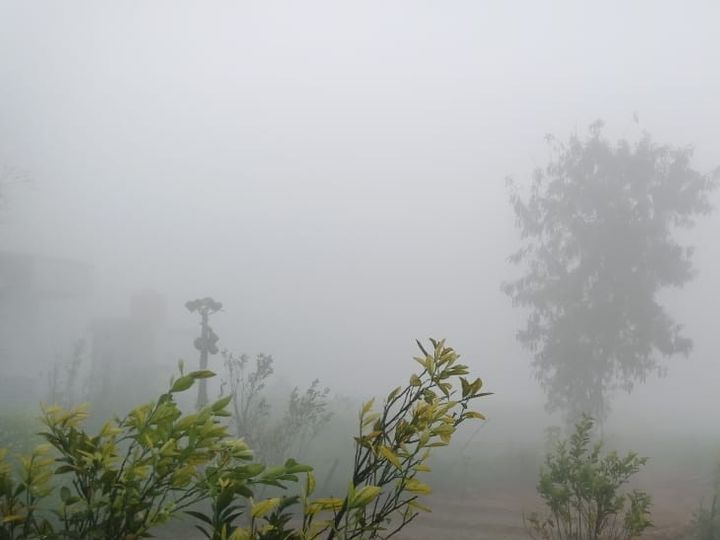 अलवर में लगातार दूसरे दिन कोहरा बसंत पंचमी के बाद भी कोहरे से सर्दी का असर बरकरार, न्यूनतम तापमान भी 10 डिग्री सेल्सियस से नीचे