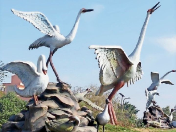 साैंदर्यीकरण डीग में भी बनेंगे भरतपुर जैसे सेल्फी प्वाइंट, चौराहों पर दिखेंगे सारस