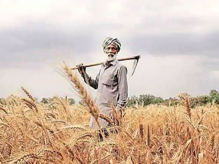 Experts say that input costs of farmers are increasing, while living is becoming expensive. (File photo) - Dainik Bhaskar