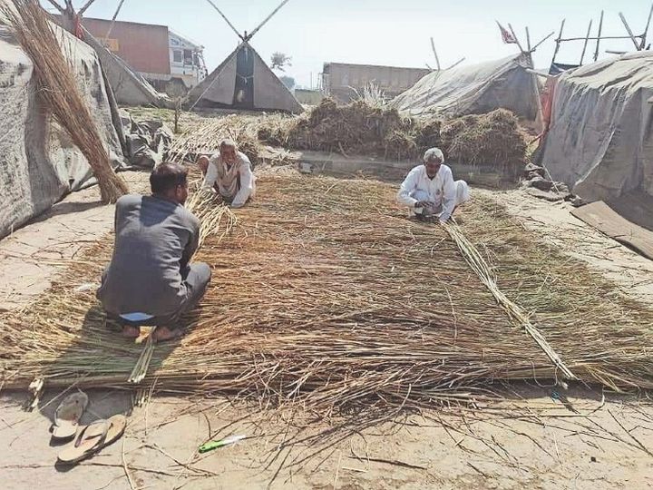 रेवाड़ी | किसान झोपड़ी बनाने में जुटे हैं। खेड़ा बॉर्डर पर 4 तंबुओं को झोपड़ियों में बदला जा चुका है। बाकी के लिए काम चल रहा है। मोर्चे पर डटे हनुमानगढ़ के किसान लालाराम ने कहा कि आसमान से बरसती आग की तपिश को ठंडा करने में झोपड़ी कारगर है। इसके आगे कूलर भी फेल हैं। - Dainik Bhaskar