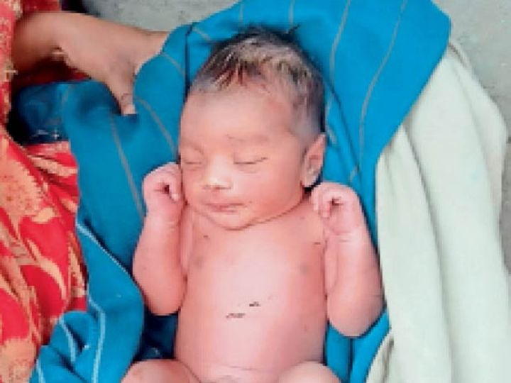 किसी निर्मोही मां ने अपने जिगर के टुकड़े नवजात को जंगल के बीच खेत की मेढ़ में छोड़ दिया। - Dainik Bhaskar