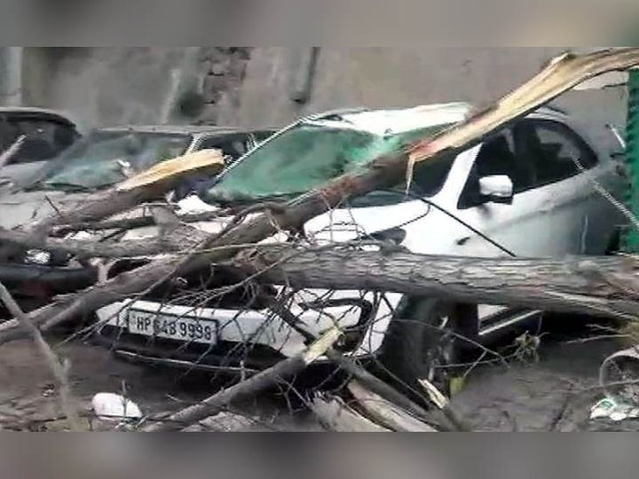 सोलन में पेड़ गिरने से टूटी पार्किंग में खड़ी कार। इस घटना को लेकर पार्किंग के मालिक नगर परिषद के रवैये को जिम्मेदार बता रहे हैं। - Dainik Bhaskar