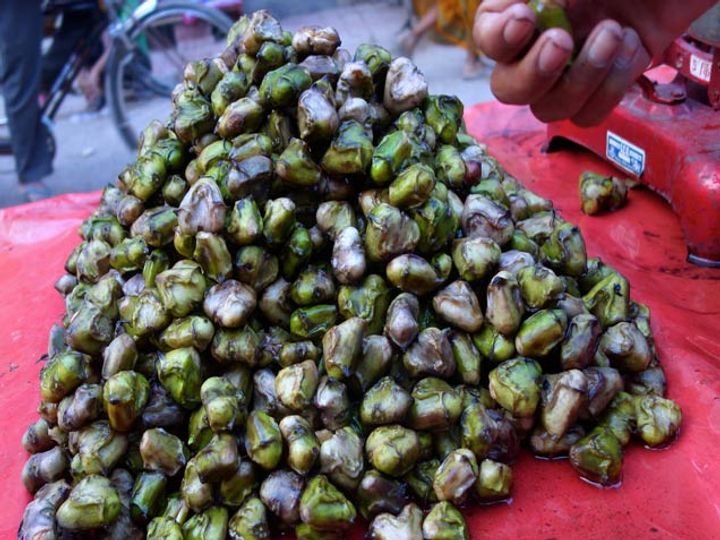 7 health benefits of water chestnut गुणकारी आहे शिंगाडा, होतात हे 7