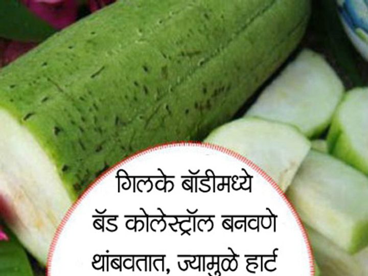 Silk Squash eating benefits in marathi आठवड्यातून एकदा गिलके
