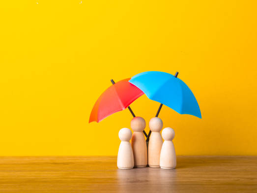 Bima Vistaar to launch in April 2025: Insurance shield against life ...