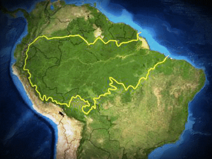 Brazil, COP 30, Amazon rainforest, Belem, explained, UNFCCC, Baku ...