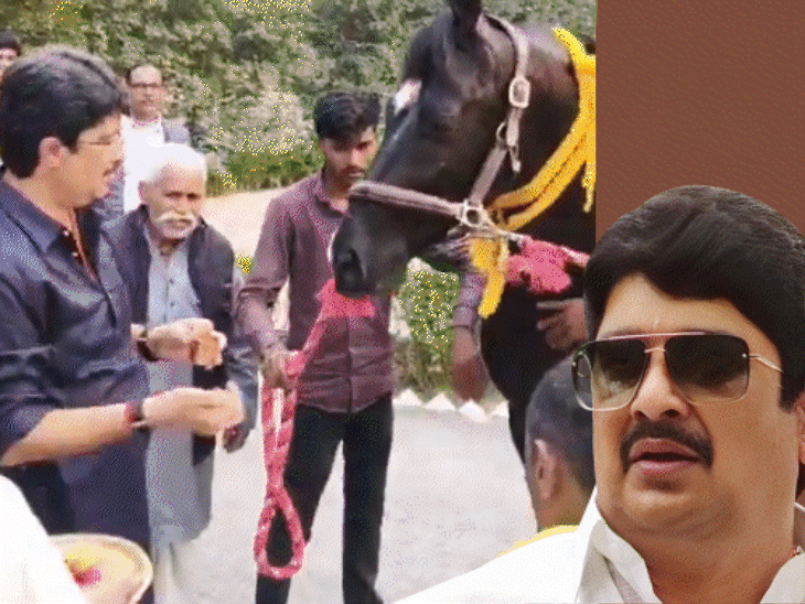 Raja Bhaiya buys most expensive Trojan horse Bahubali started riding ...