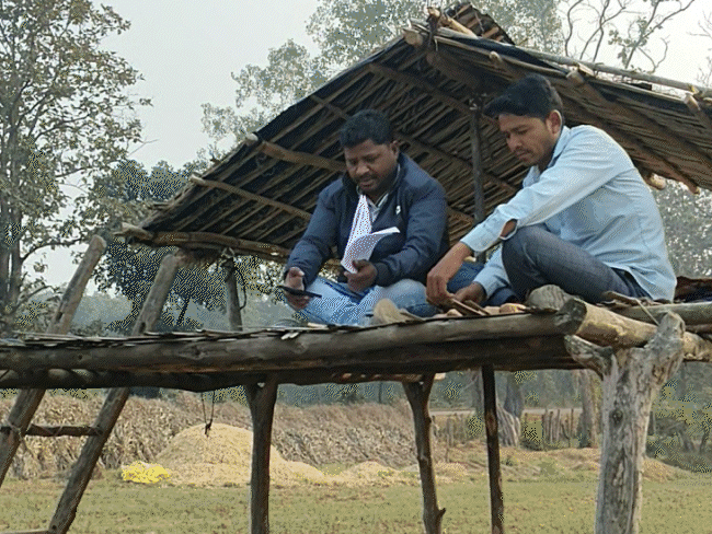 Poor mobile network hampers SIR work in MP: BLOs climb forests ...