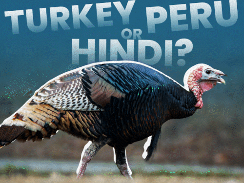 How the Turkey got its confusing global name | Explained