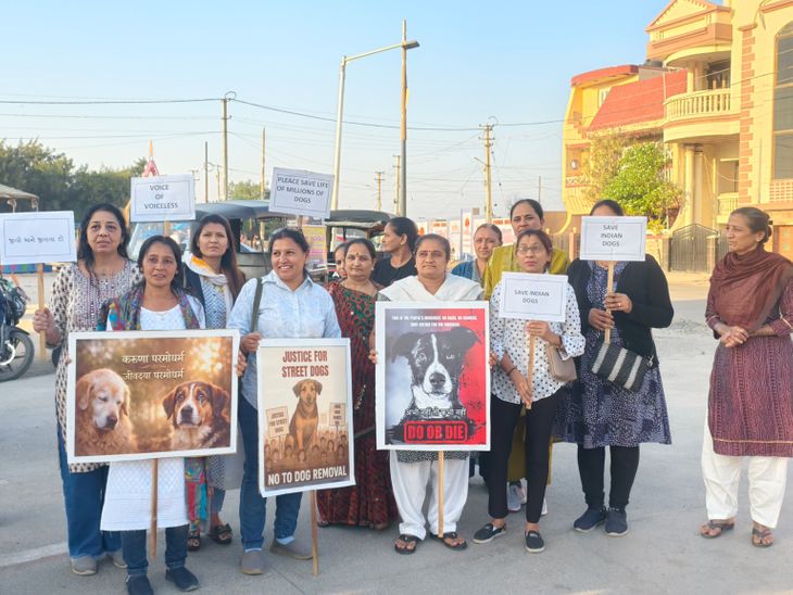 Opposition intensifies to SC’s order on removal of stray dogs: Demand for reconsideration based on religion…