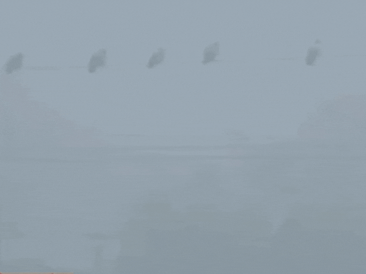 Dense fog covers MP's northern region: Cold wave alert in 7 districts ...