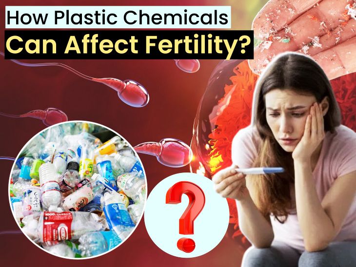 Plastic Fertility Impact Explained; Gynaecology Expert Advice | BPA ...