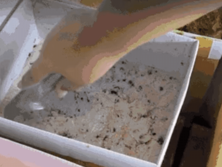 Ice Cream Health Risks: 7 Dangers | Doctor Explains Science