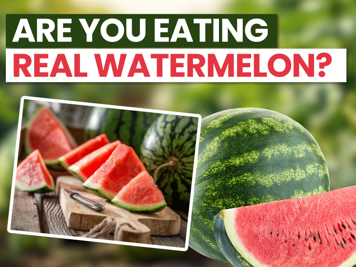 Mumbai Family Watermelon Death Case Adulteration Testing Process ...