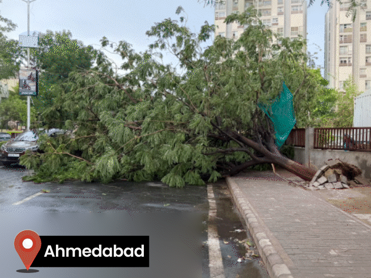 Gujarat Storm: Heavy Rainfall, Strong Winds Cause Damage; 1 Dead, More ...