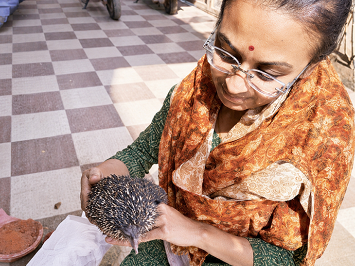 One teacher, one mission to save birds: Bike becomes a bird ambulance; 250 injured birds rescued in 6 years - Rajkot News