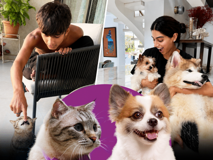 Aamir Khan’s son Azad seen crying after cat’s death: Why Gen Z is choosing pet parenting and can pets help reduce stress?