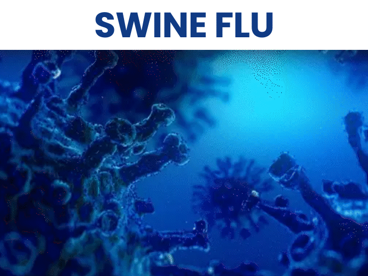 H1N1 Death in Madhya Pradesh: Bhopal Reports 6 Cases Raise Concern