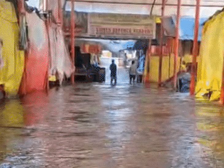 UP Floods Update: Lucknow Inundated & Python Attack in Gonda | Rain Alert
