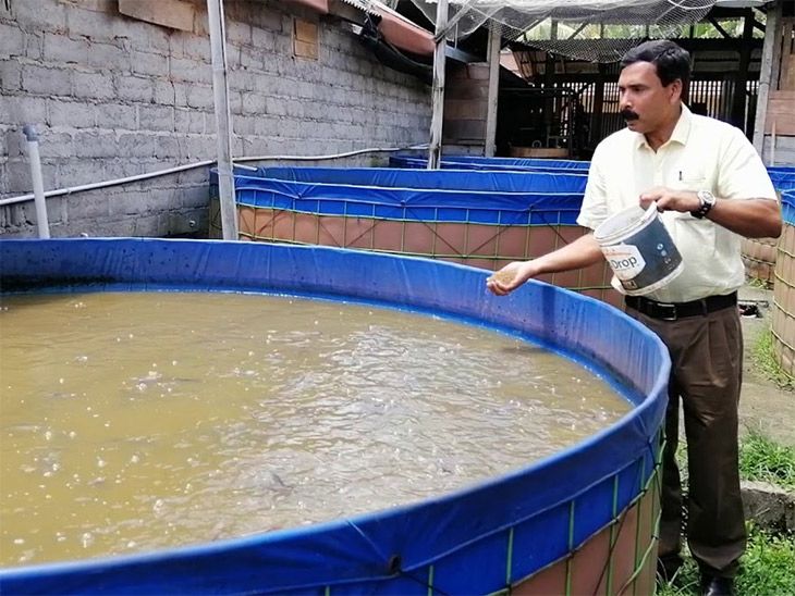 Over-production of fish in low-land bioflock techniques: Dr. Prem